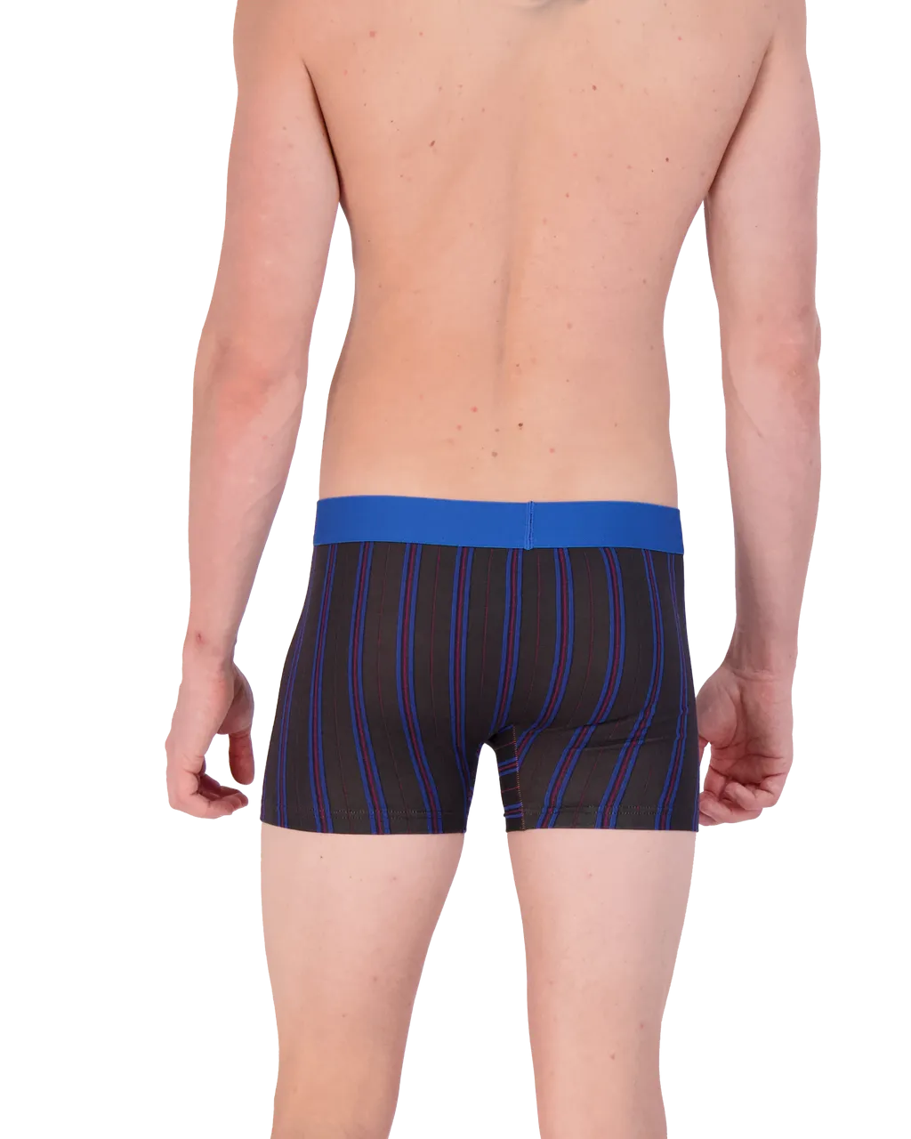 Boxer Brief w/ Fly in Triple Threat Stripe by Wood Underwear