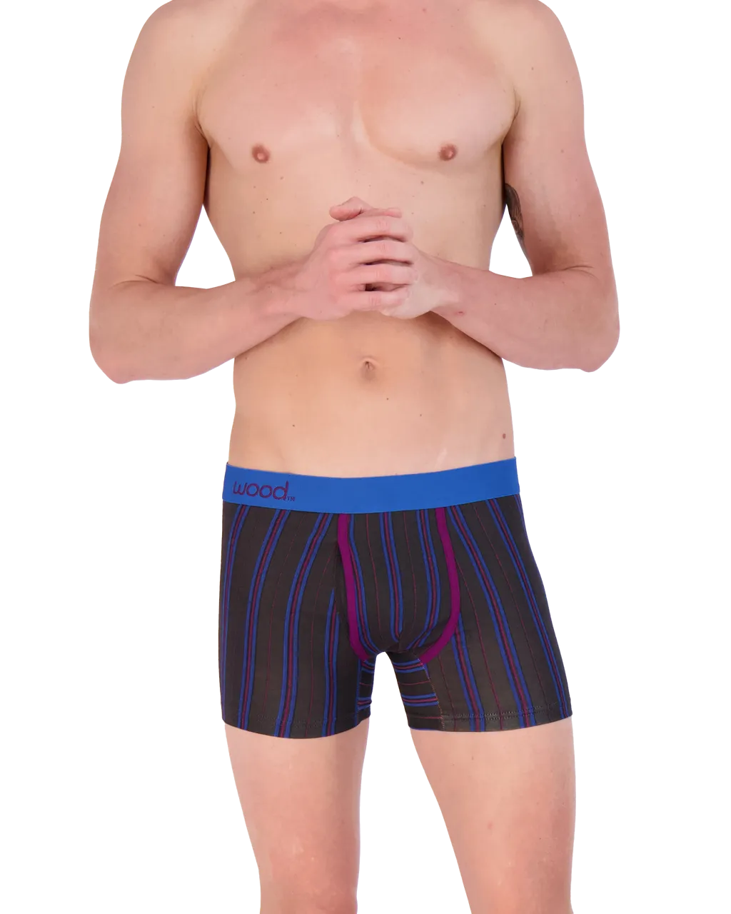 Boxer Brief w/ Fly in Triple Threat Stripe by Wood Underwear