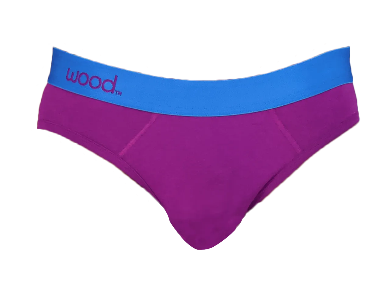 Hip Brief in Grape by Wood Underwear