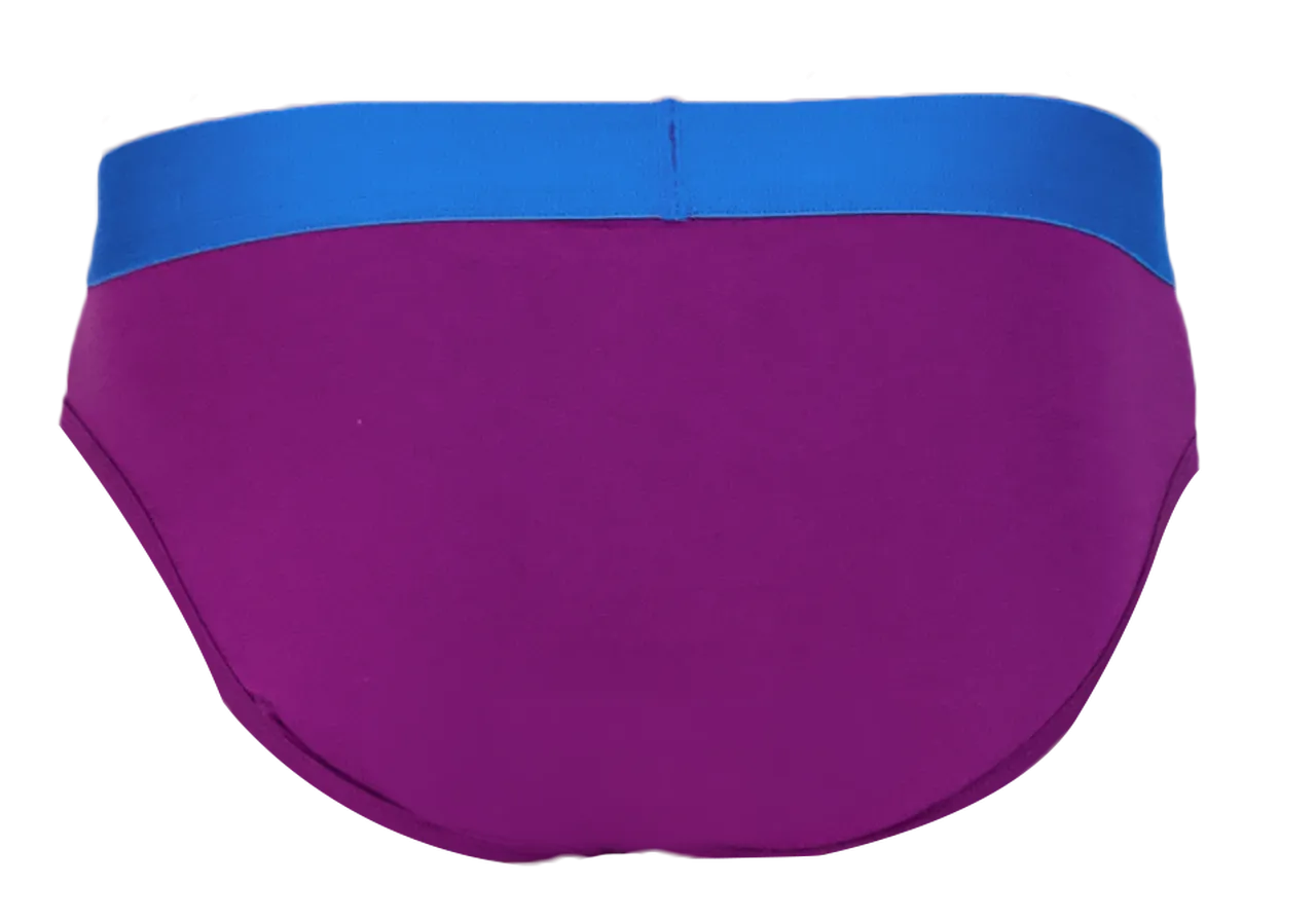 Hip Brief in Grape by Wood Underwear