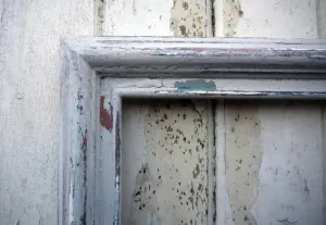 Rustic vintage painted picture frame in Miss Mustard Seed Milk Paint