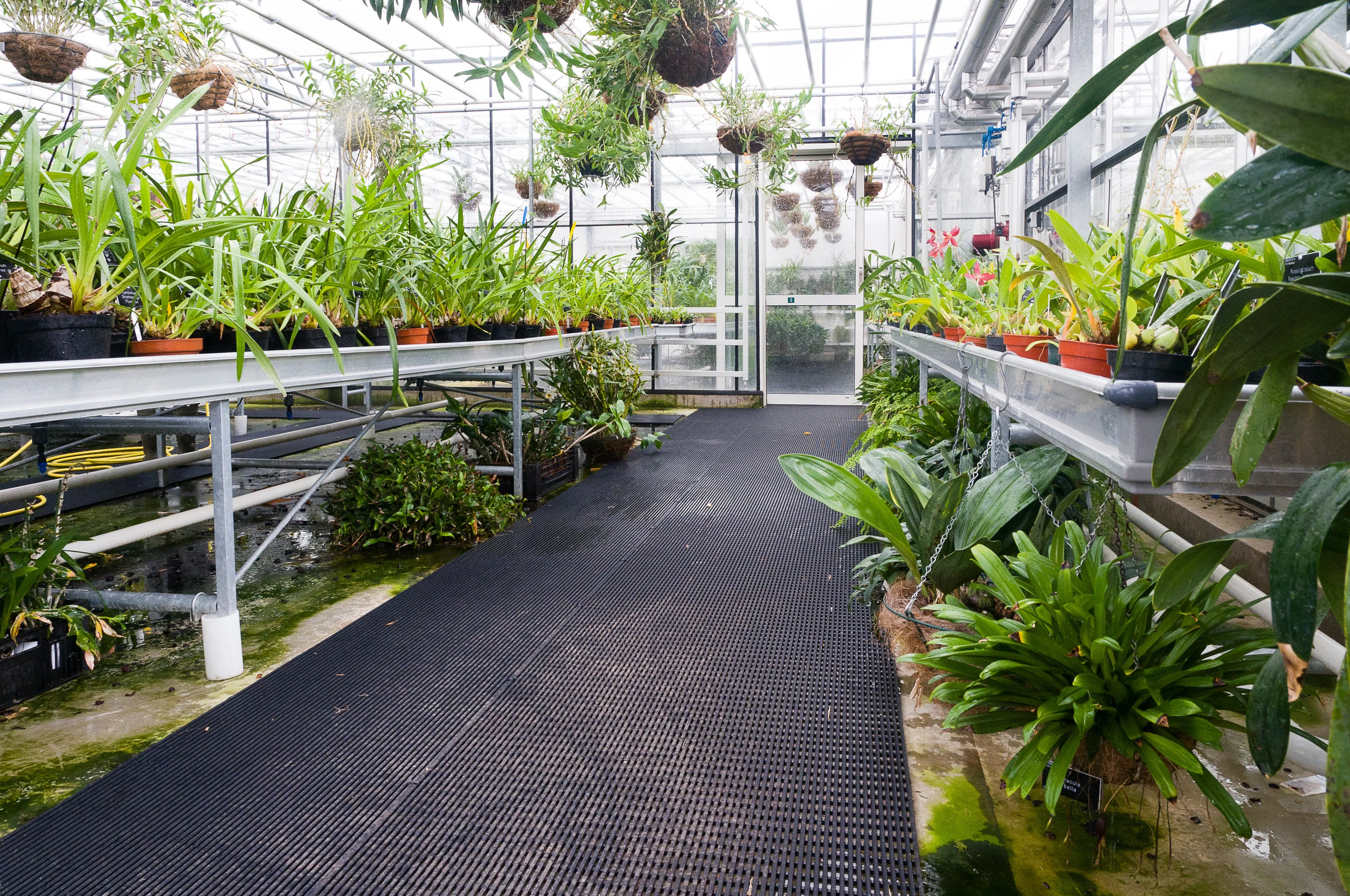 Vynagrip: The ultimate slip-resistant mat